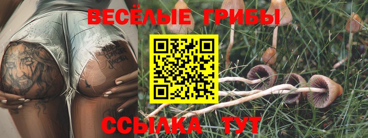 Псилоцибиновые грибы ЛСД  Галлюциногенные грибы Psilocybine cubensis  что такое   Вход с VPN  Лыткарино 